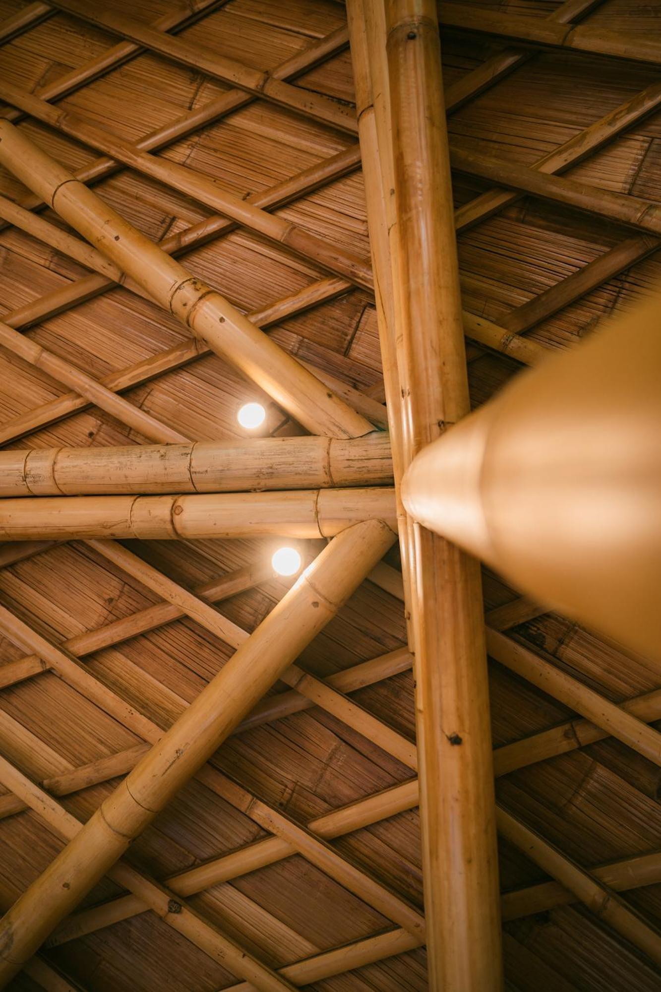 Alamvaya Bali Bamboo House Villa Sidemen  Exterior photo